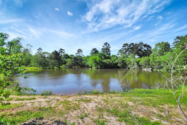 19830 Turtle Dove Ln, Magnolia, TX 77355 - photo 11