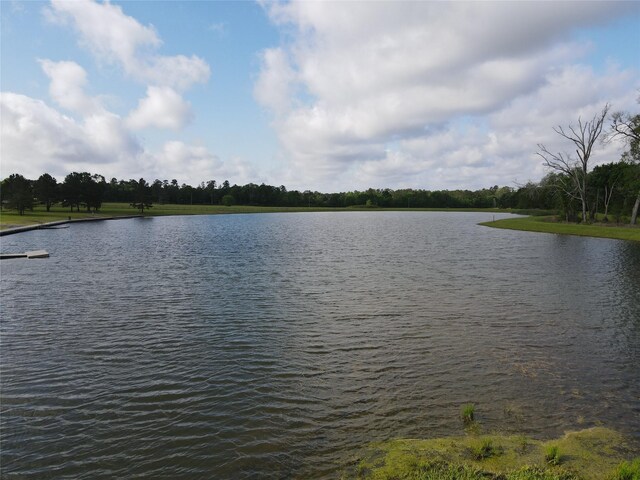 15568 Republic Ranch Rd N, Willis, TX 77378