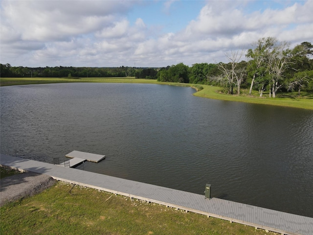 15568 Republic Ranch Rd N, Willis, TX 77378