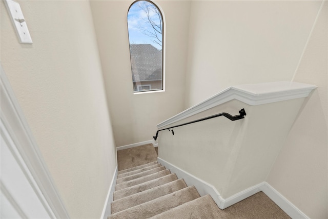 5329 Kansas St, Houston, TX 77007 - stairs featuring carpet flooring and baseboards