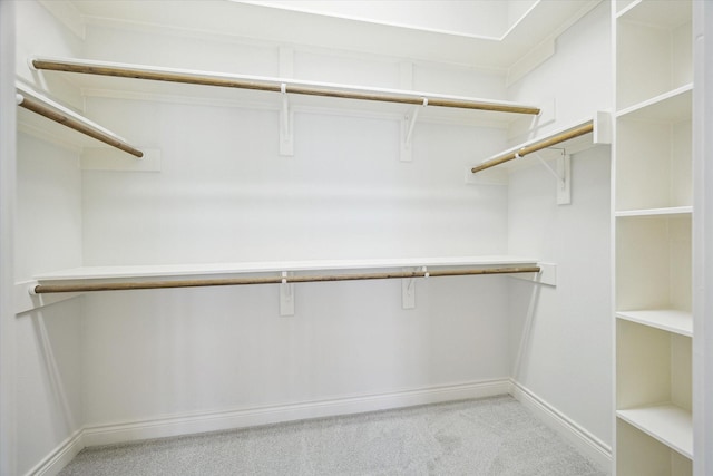 walk in closet with light carpet