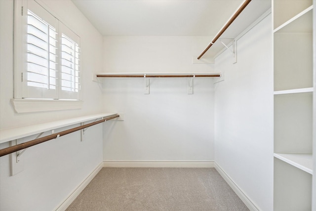 spacious closet featuring light carpet