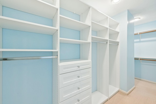 7463 Brompton St Unit 7463, Houston, TX 77025 - spacious closet with carpet floors