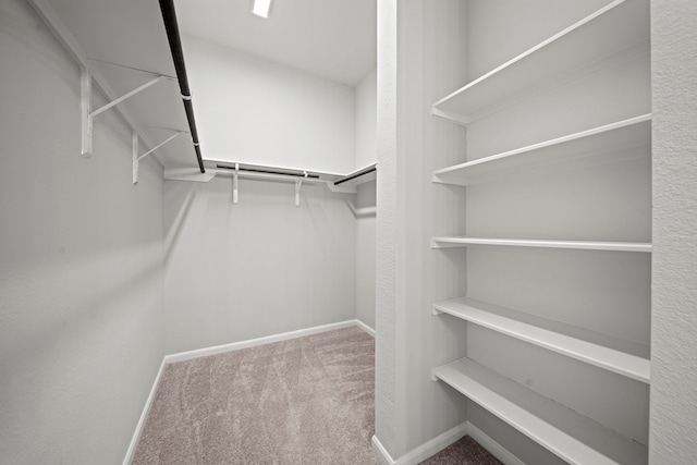 spacious closet featuring carpet floors
