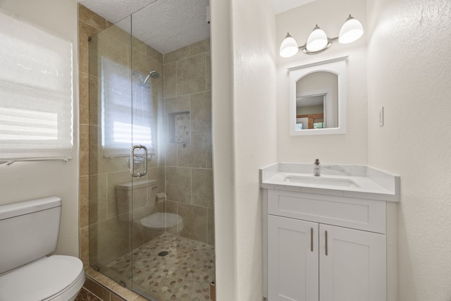 bathroom with toilet, a shower stall, and vanity