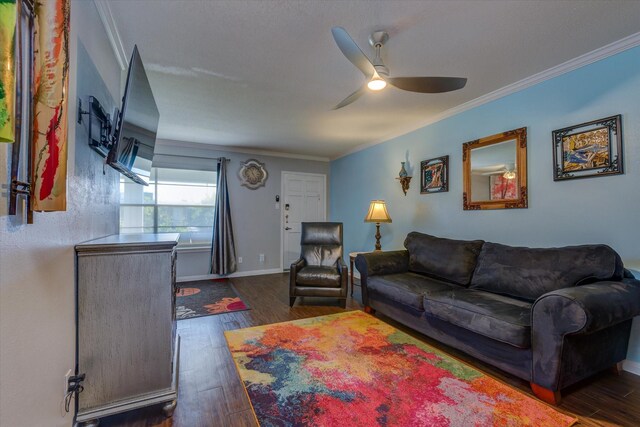 3535 Nasa Rd 1St Pkwy, Unit 36, Seabrook, TX 77586 - living area with crown molding, baseboards, a ceiling fan, and dark wood-style floors