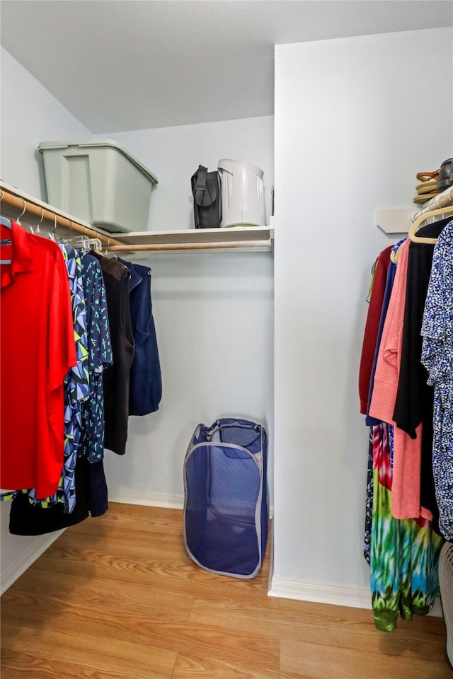 walk in closet featuring wood finished floors