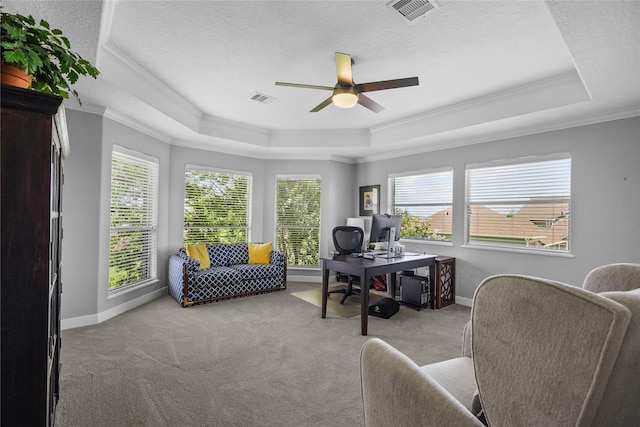 office space with light colored carpet, visible vents, a tray ceiling, and a ceiling fan