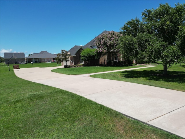 view of yard with driveway