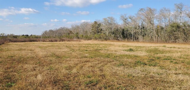 0 County Road 168, Alvin, TX 77511 - photo 7