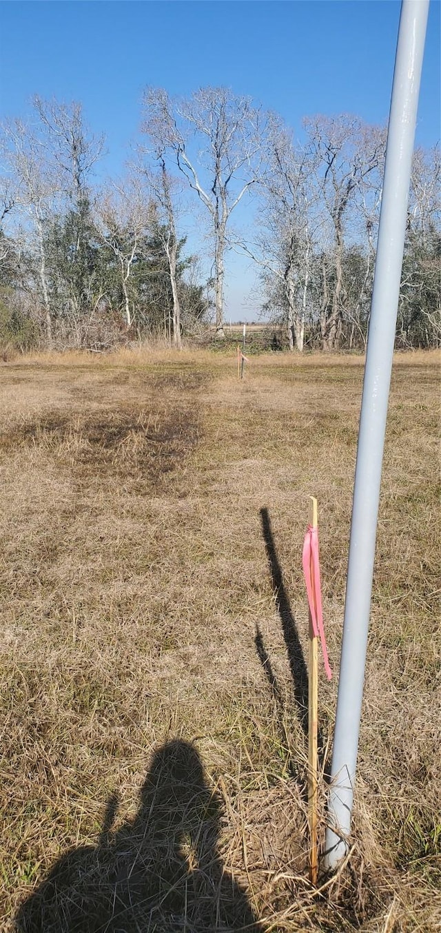 0 County Road 168, Alvin, TX 77511