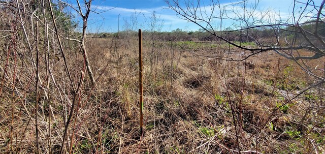 0 County Road 168, Alvin, TX 77511 - photo 17