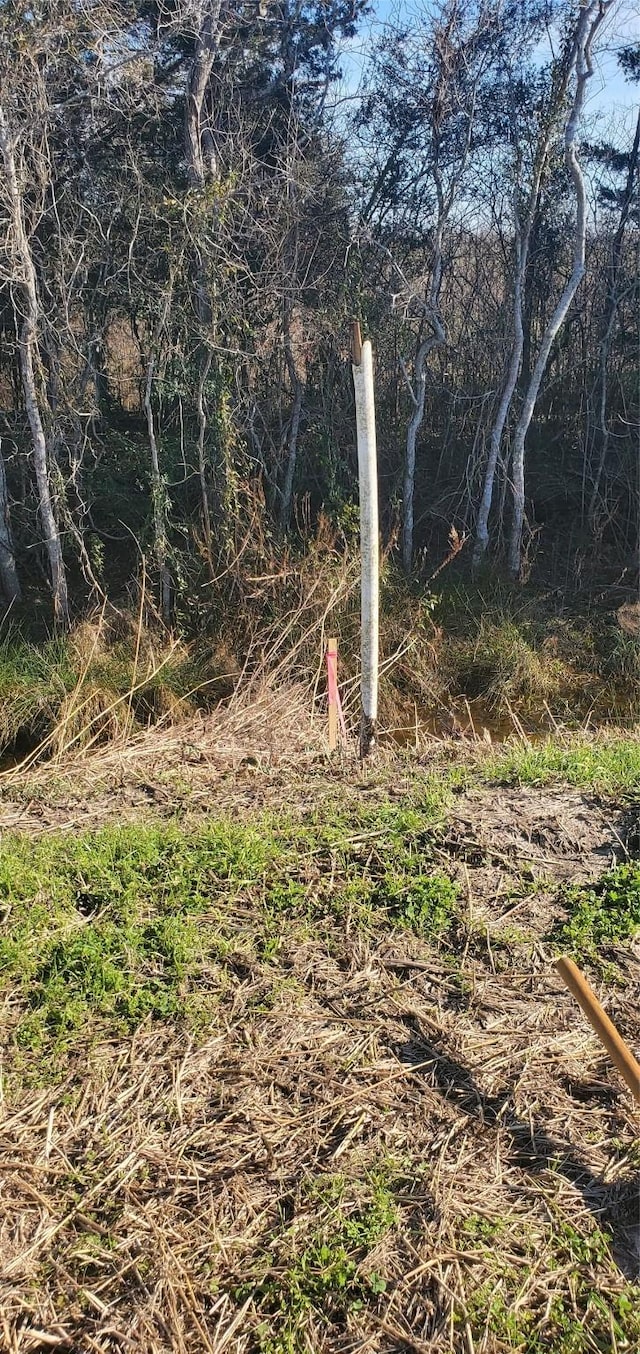 0 County Road 168, Alvin, TX 77511