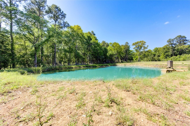 LOT13 Spring Branch Rd, Montgomery, TX 77316