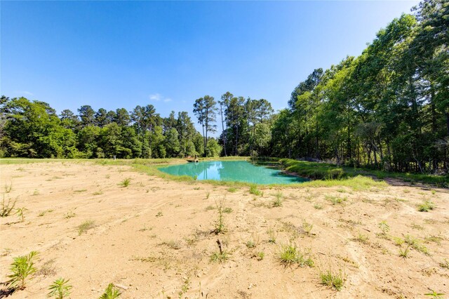 LOT13 Spring Branch Rd, Montgomery, TX 77316