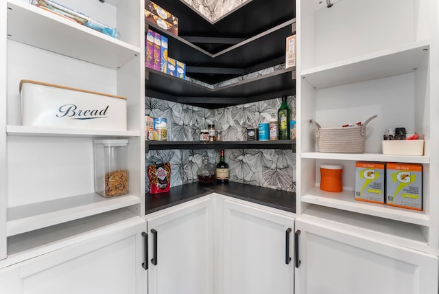 23830 Via Leoni Dr, New Caney, TX 77357 - view of pantry