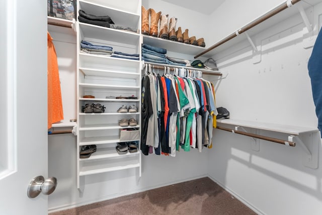 23830 Via Leoni Dr, New Caney, TX 77357 - walk in closet with carpet floors