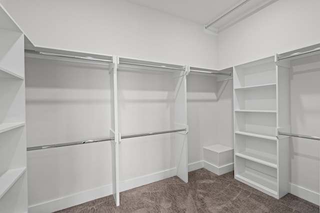 walk in closet with carpet floors
