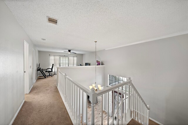 17203 Meadow Heights Dr, Houston, TX 77095 - corridor featuring baseboards, light carpet, an upstairs landing, a textured ceiling, and visible vents