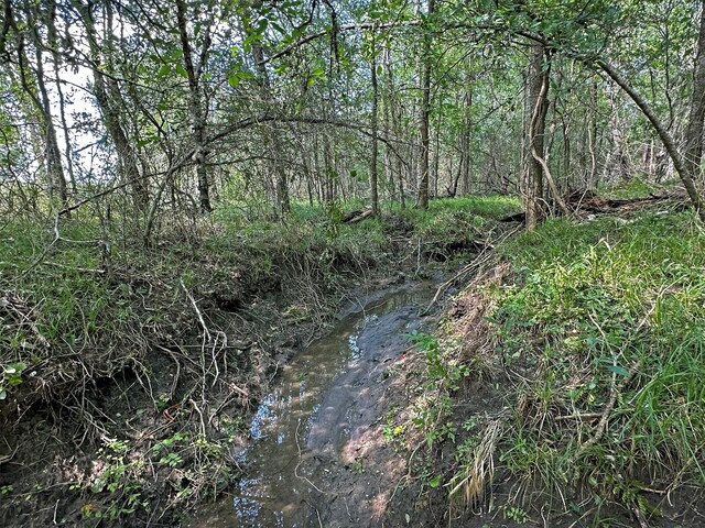 - Heinecke Road, Washington, TX 77880