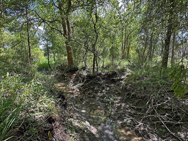 - Heinecke Road, Washington, TX 77880