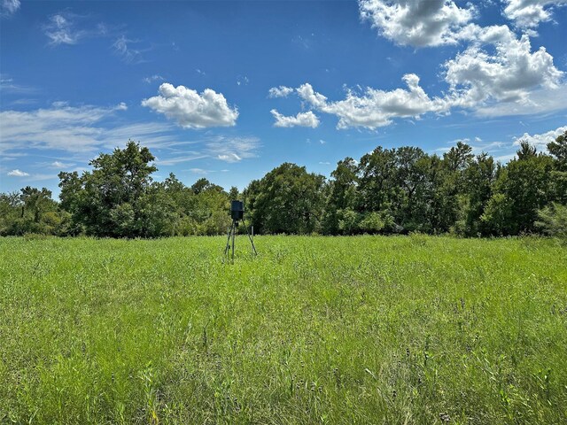 - Heinecke Road, Washington, TX 77880