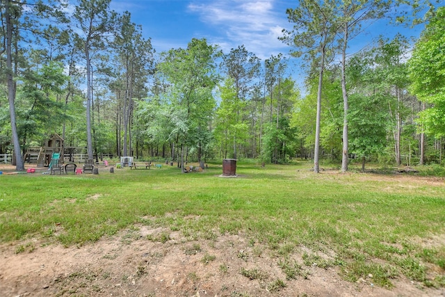 30000 Round Up Dr, Waller, TX 77484 - view of yard