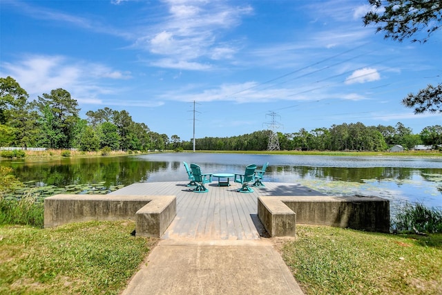 30000 Round Up Dr, Waller, TX 77484 - dock area with a water view