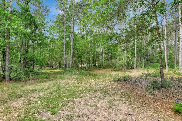 30000 Round Up Dr, Waller, TX 77484 - view of yard featuring a wooded view