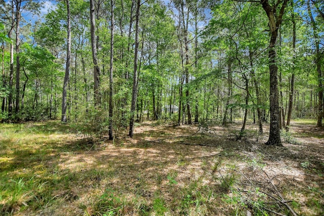 30000 Round Up Dr, Waller, TX 77484 - view of landscape featuring a view of trees