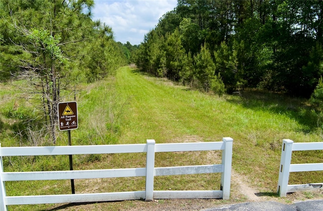 30000 Round Up Dr, Waller, TX 77484 - view of yard featuring a wooded view and fence