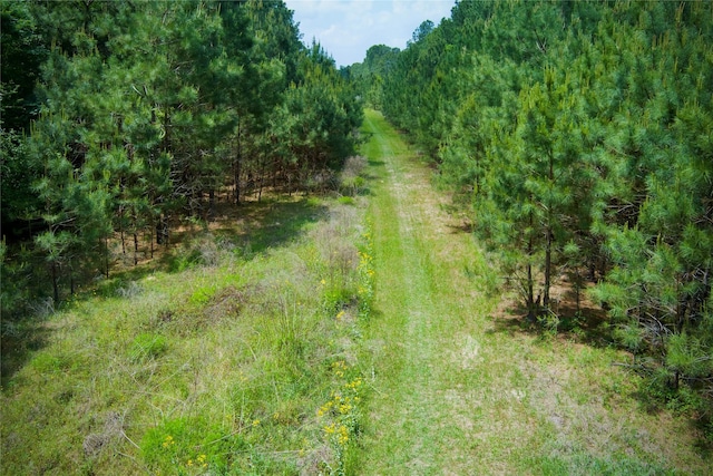 30000 Round Up Dr, Waller, TX 77484 - view of landscape featuring a forest view