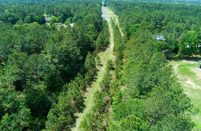 30000 Round Up Dr, Waller, TX 77484 - drone / aerial view with a wooded view
