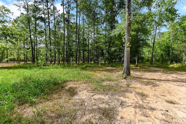 661 County Road 633, Dayton, TX 77535 - photo 7