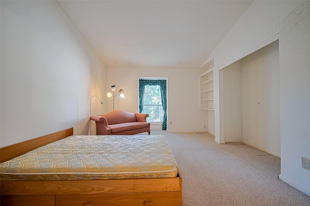 5711 Sugar Hill Dr Unit 34, Houston, TX 77057 - bedroom featuring light carpet