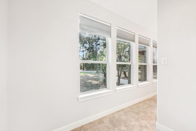 details featuring baseboards and carpet flooring