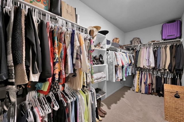 walk in closet featuring carpet flooring