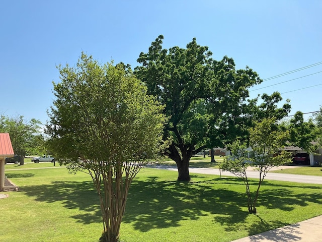 view of property's community featuring a yard