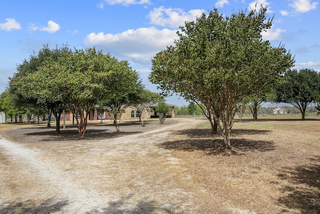 4501 Fm 2223, Bryan, TX 77808 - photo 4