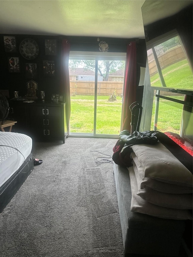 view of carpeted living area