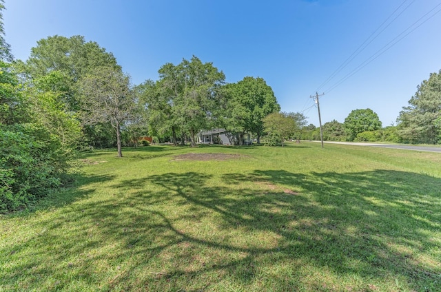 25371 Kickapoo Rd, Hockley, TX 77447 - photo 45