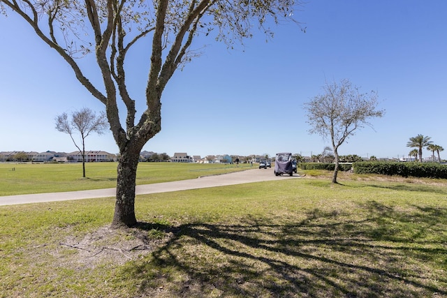 2027 103rd St, Galveston, TX 77554 - view of yard