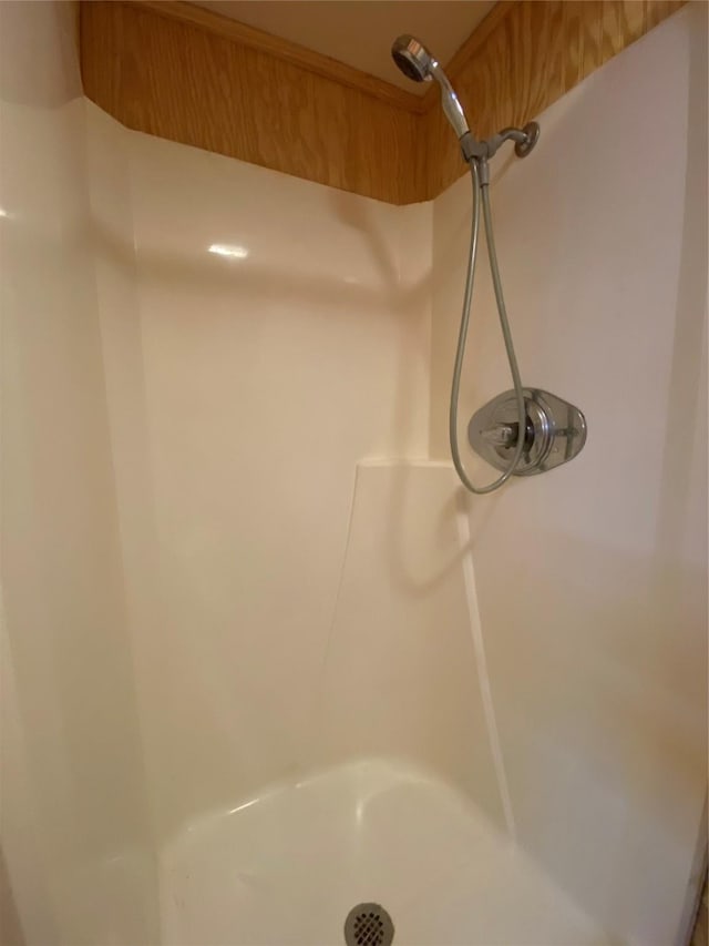 2027 103rd St, Galveston, TX 77554 - details with a shower