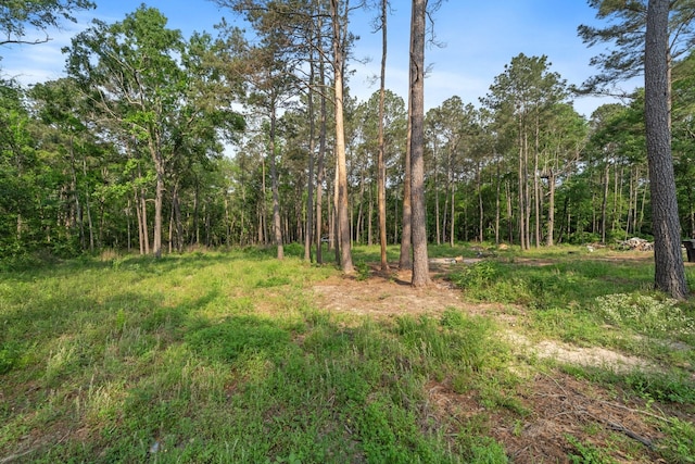 220 Hicks Loop W, Cleveland, TX 77328