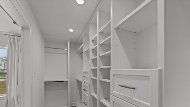 view of spacious closet