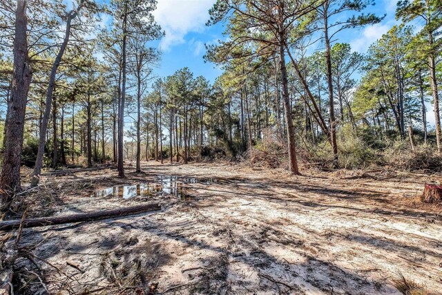 10133 Lt N Rd, Houston, TX 77073
