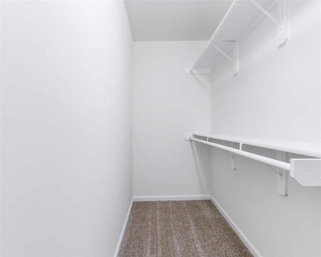 walk in closet with carpet