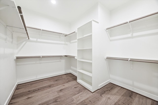 walk in closet with wood finished floors