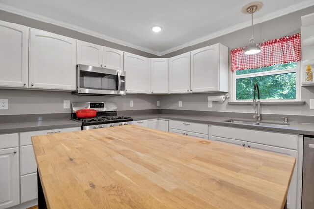 310 Hidden Oaks Dr, Point Blank, TX 77364 - kitchen featuring stainless steel appliances, a sink, white cabinetry, and butcher block counters
