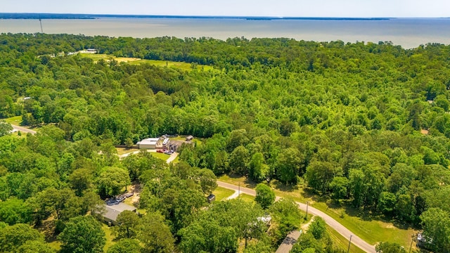 310 Hidden Oaks Dr, Point Blank, TX 77364 - birds eye view of property with a water view and a wooded view